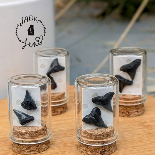Genuine Shark Teeth Earrings