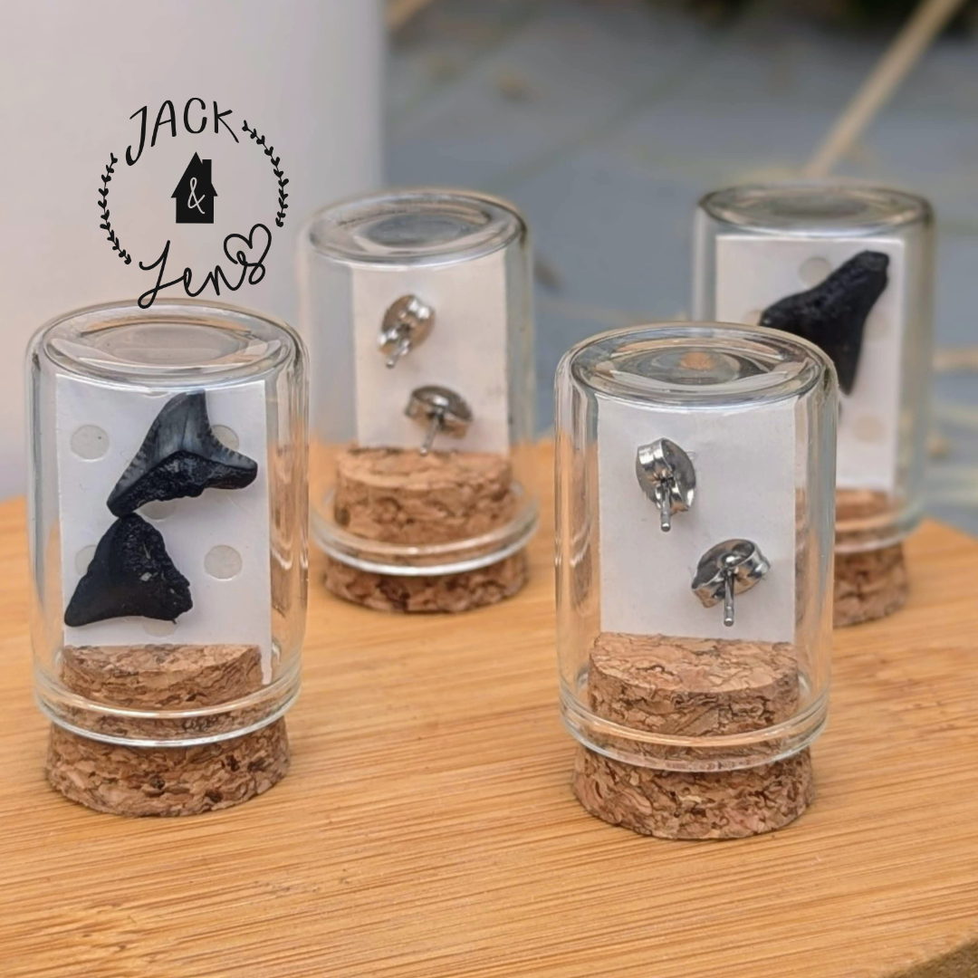 Genuine Shark Teeth Earrings