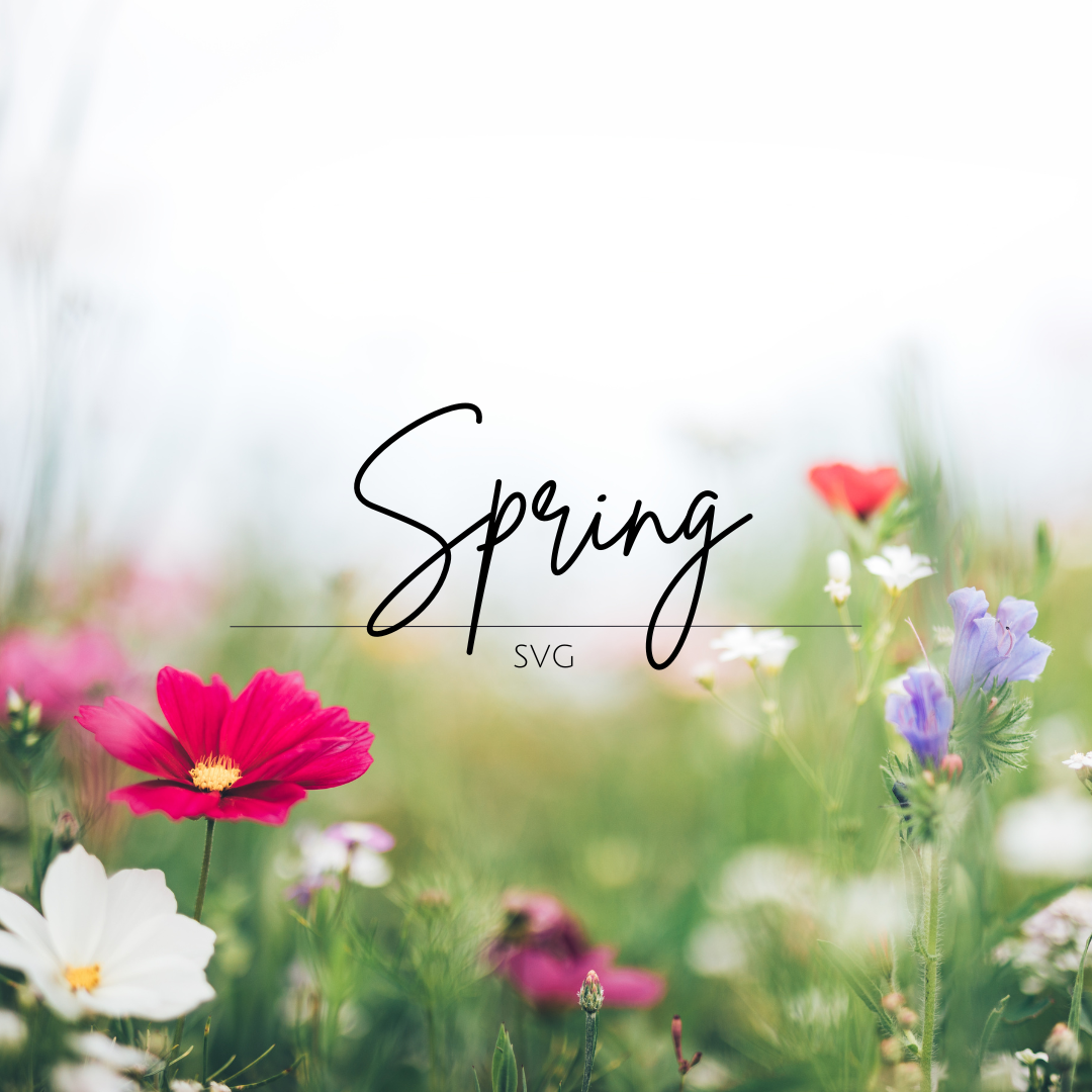 SVG Spring