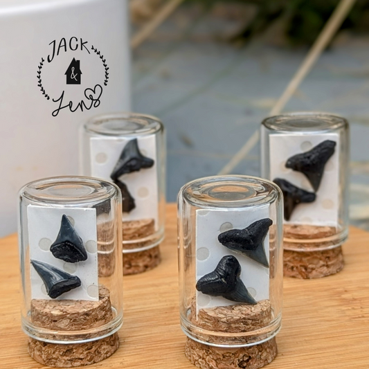 GENUINE SHARKS TEETH Earrings