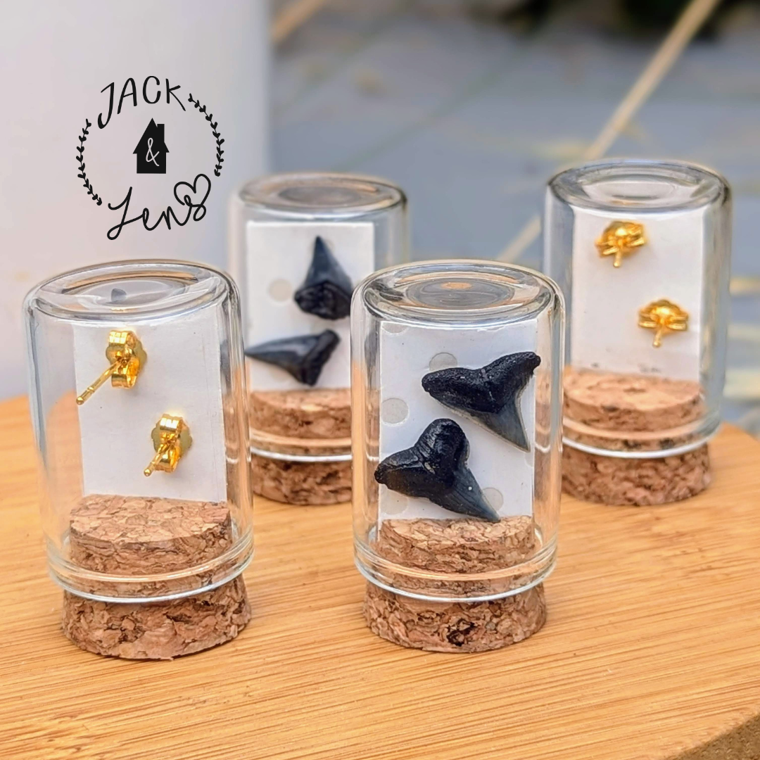 GENUINE SHARKS TEETH Earrings