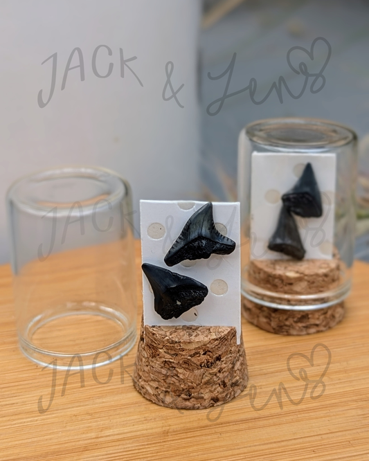RTS - Shark Teeth Studs | Gift Essential