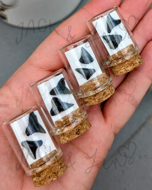 RTS - Shark Teeth Studs | Gift Essential