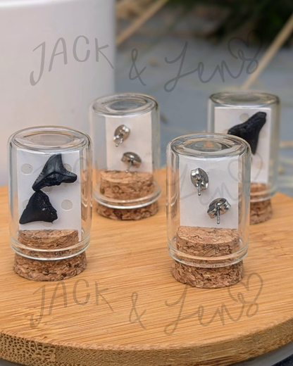 RTS - Shark Teeth Studs | Gift Essential
