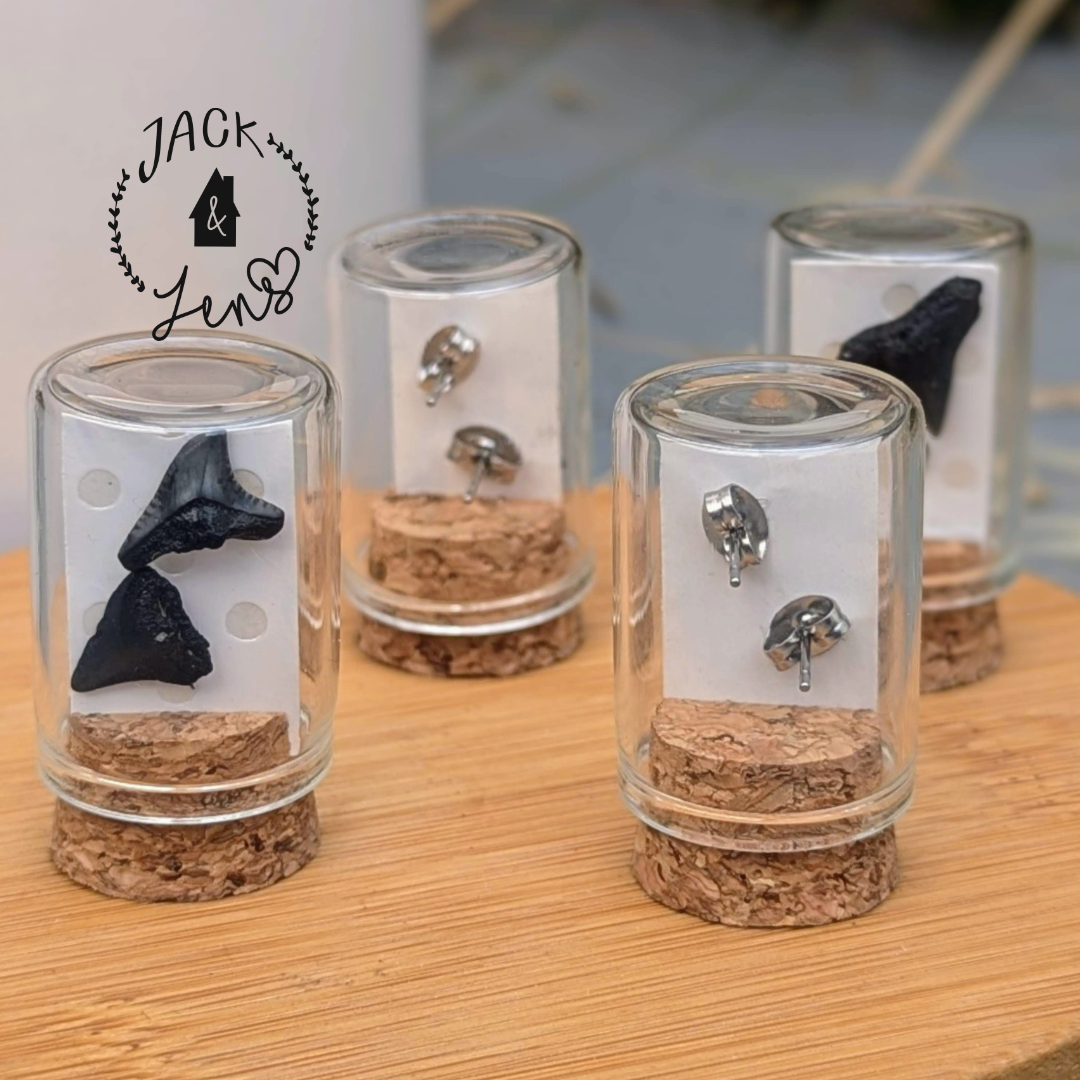 GENUINE SHARKS TEETH Earrings